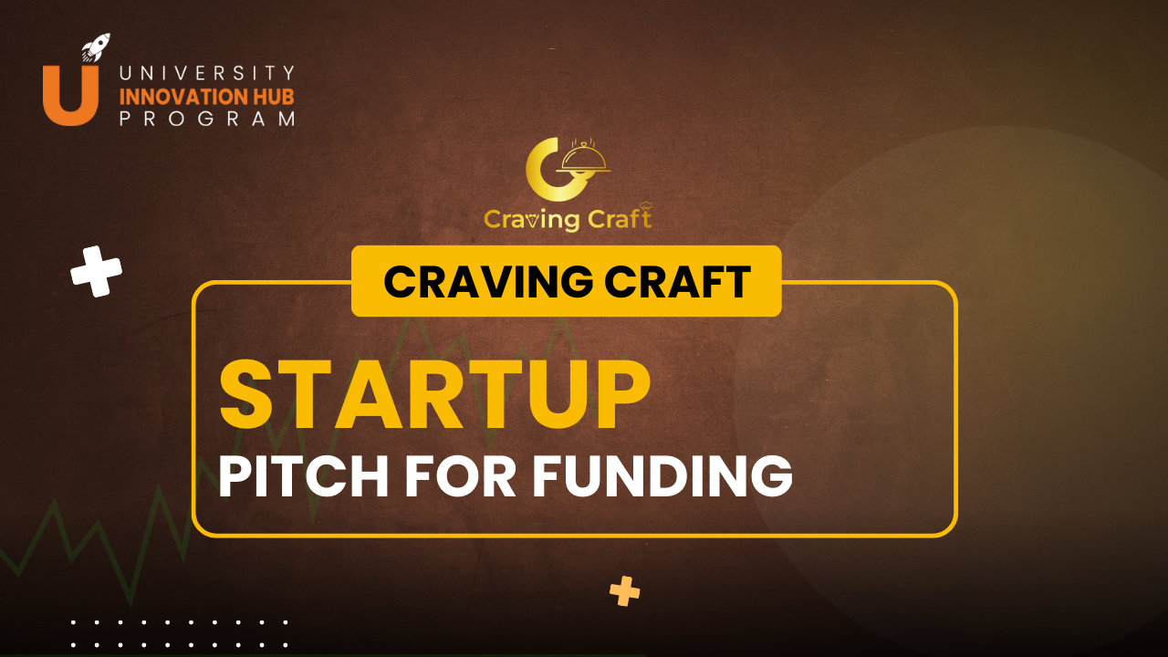 Startup Pitch for Funding